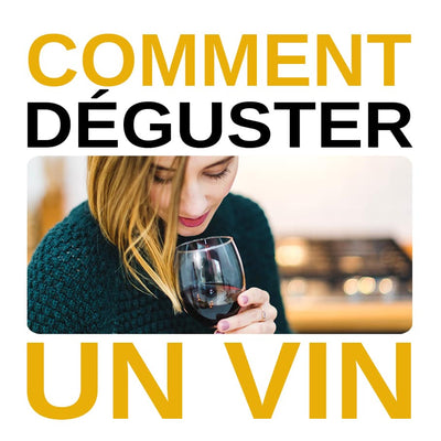 Comment déguster le vin_Le Bon Tire-Bouchon