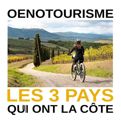Oenotourisme, les 3 pays qui ont la côte_Le Bon Tire-Bouchon
