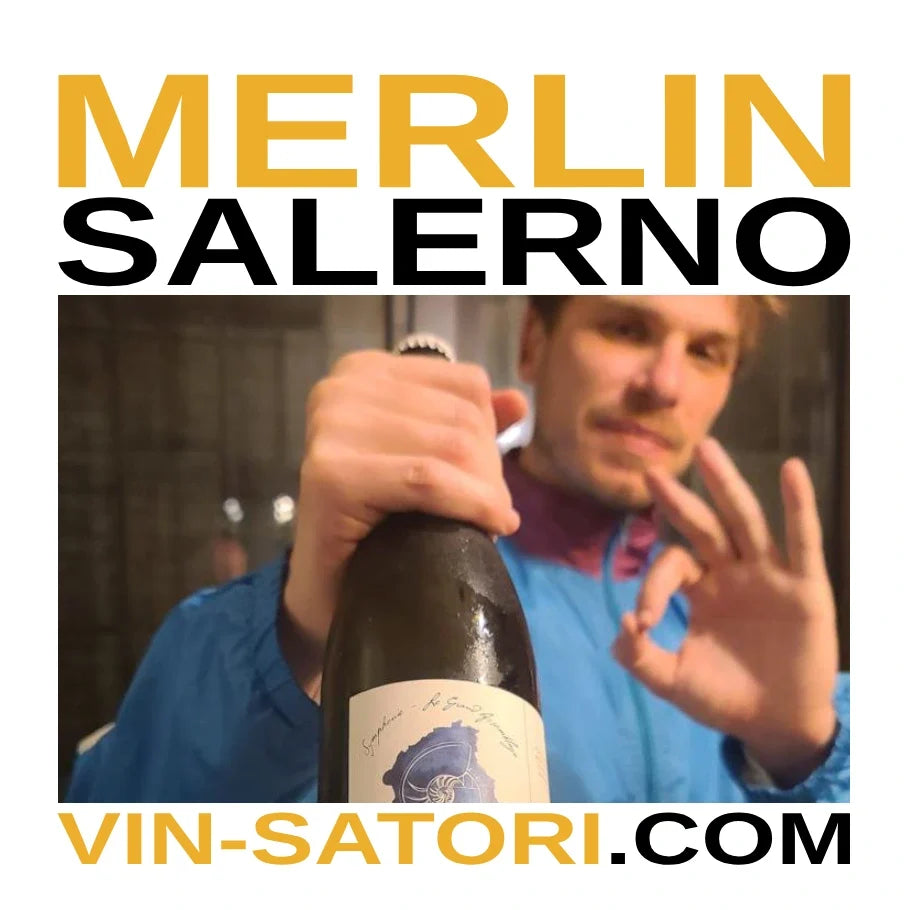 VINTERVIEW DISTINGUÉE : Merlin Salerno | Vin-Satori.com