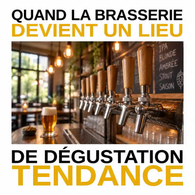 Quand la brasserie devient un lieu de dégustation tendance