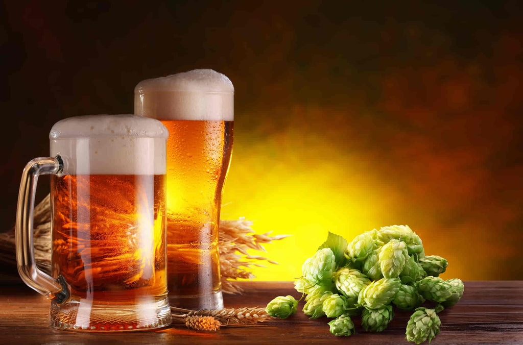 L'histoire de la bière et sa conservation